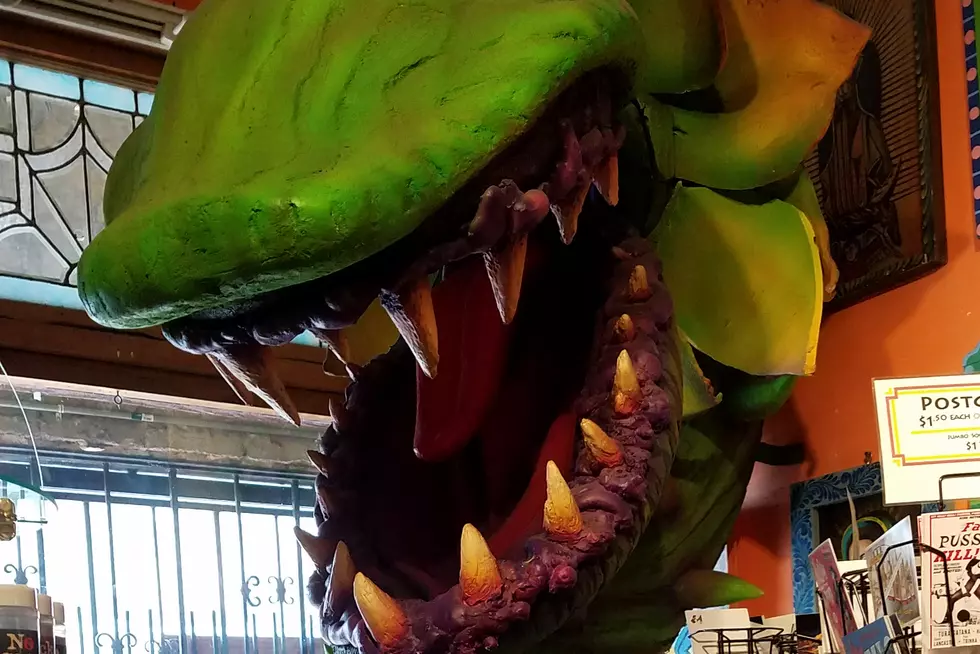 Austin’s Museum of the Weird is a Fun Way to Beat the Heat
