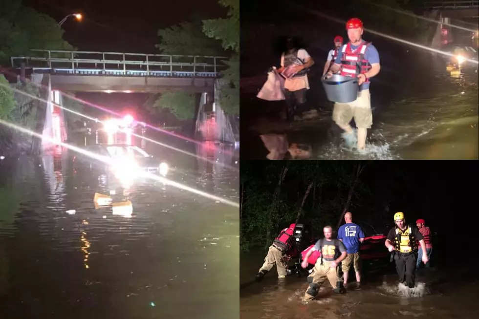 Puppy and Driver Rescued from Flood Waters in Teague