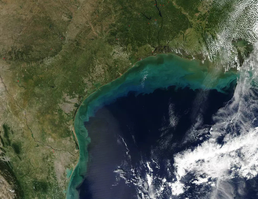 Near-Record ‘Dead Zone’ Predicted in Gulf of Mexico