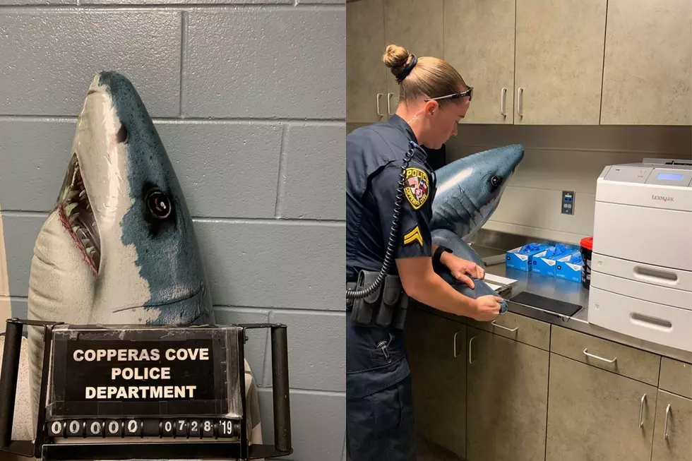 Shark Busted for Possession of Seaweed in Copperas Cove