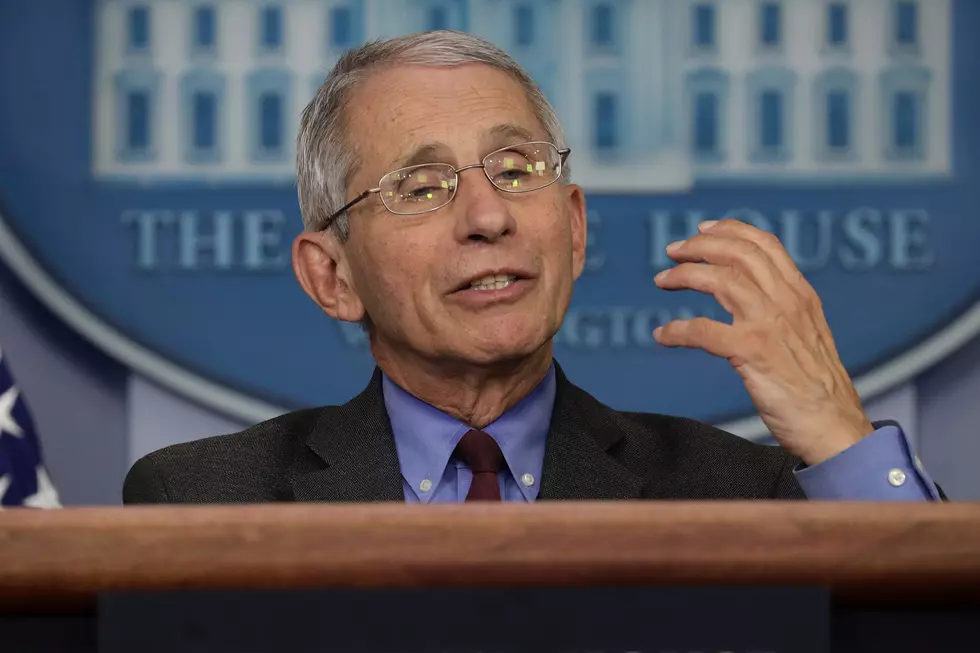 Fauci Expects Quick Approval of New Virus Drug