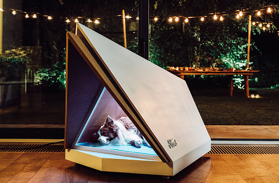 Ford Developing Noise-Cancelling Dog Kennel