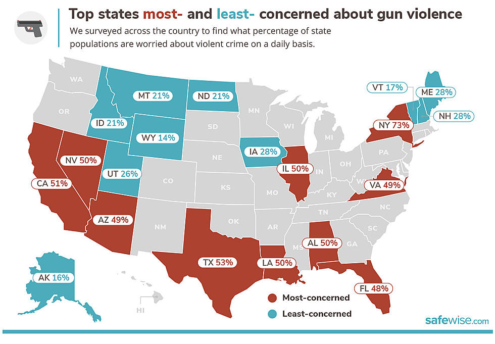Surprised? Texas 2nd Most Concerned State About Gun Violence