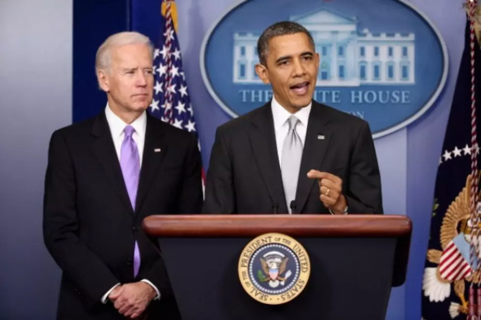 Obama Names Biden to Chair Gun Panel