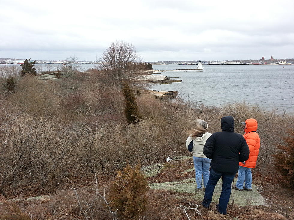 New Bedford Officials Plan Palmer’s Island Restoration Project