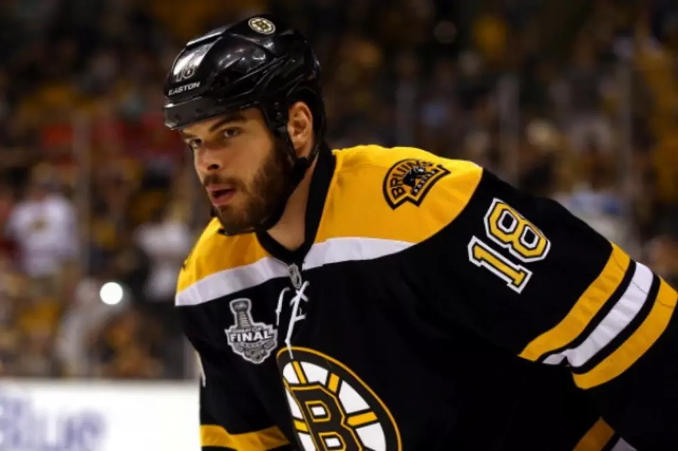 Nathan Horton Will Not Return to the Boston Bruins