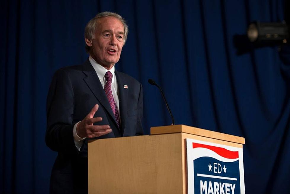 Markey Defeats Gomez, Acushnet Voters Again Reject Library Plan