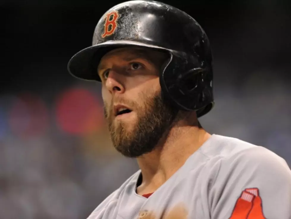 Pedroia Back In Action