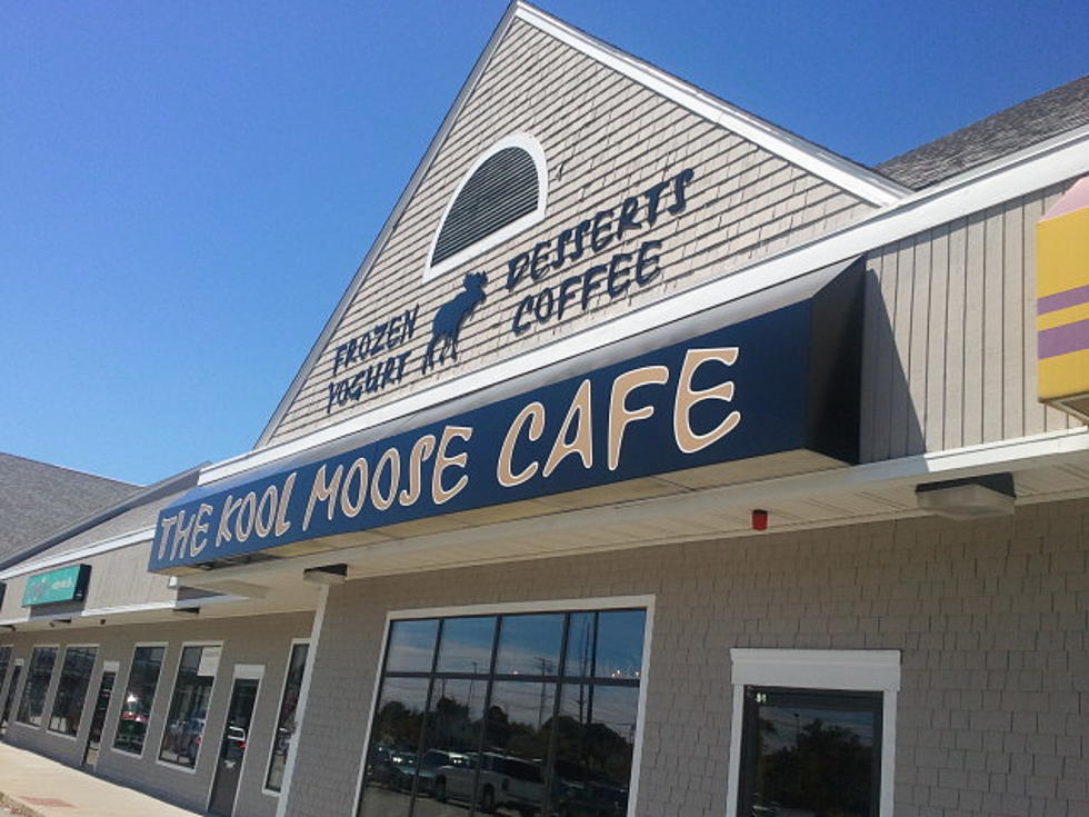 Kool Moose Cafe In Fairhaven Now Open