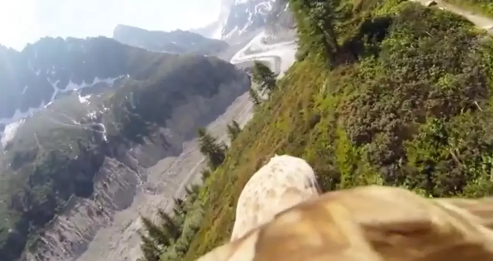 Watch This Flying Eagle Point of View Video