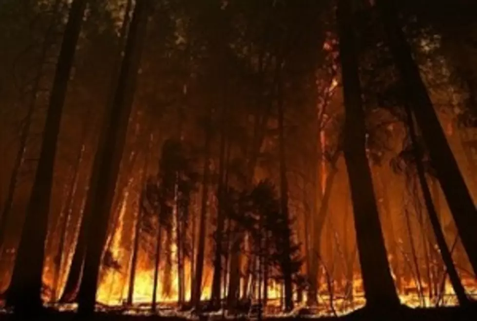 California Wildfire Now Contained