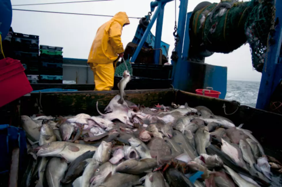 Mass. Republican Lawmakers Want Program To Promote Seafood