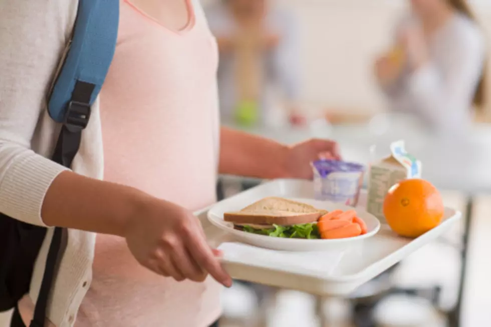 Would You Want To See a Report on What Your Kids Eat For Lunch?