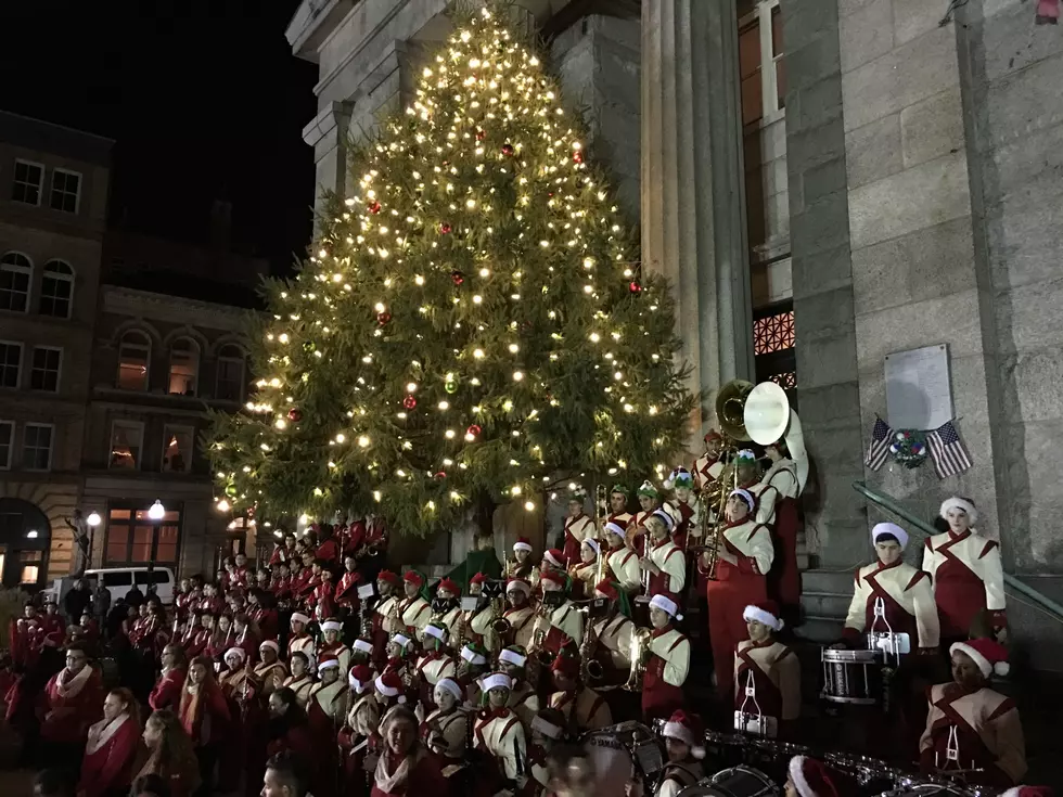 Downtown Tree Lighting Marks Beginning of Holiday Season in the City