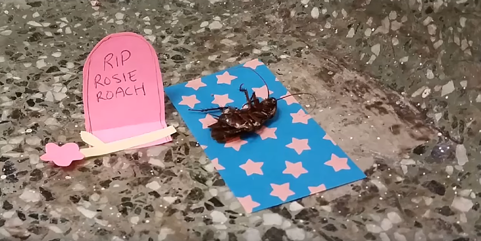 College Students Build Memorial To Honor Dead Cockroach