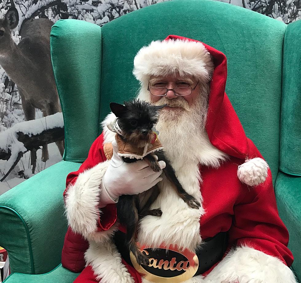 Santa is Helping Animals Find Homes this Holiday Season!