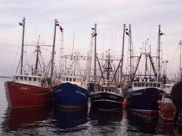 [RICHARD] Why Can&#8217;t The Fishing Industry Pay For It&#8217;s Own Website?