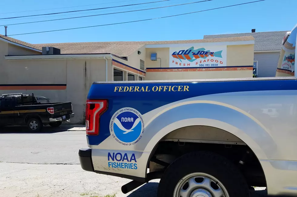 Federal Agents Raid New Bedford Seafood Wholesaler, Investigation Underway