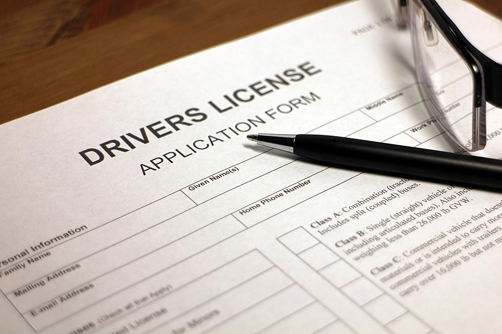 Police Chiefs Group Supports Driver's Licenses for Illegals [OPIN