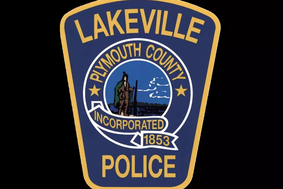 Lakeville Man Fatally Shoots Dog After Alleged Attack