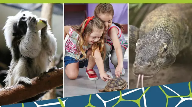 Free Admission to Roger Williams Park Zoo on Black Friday