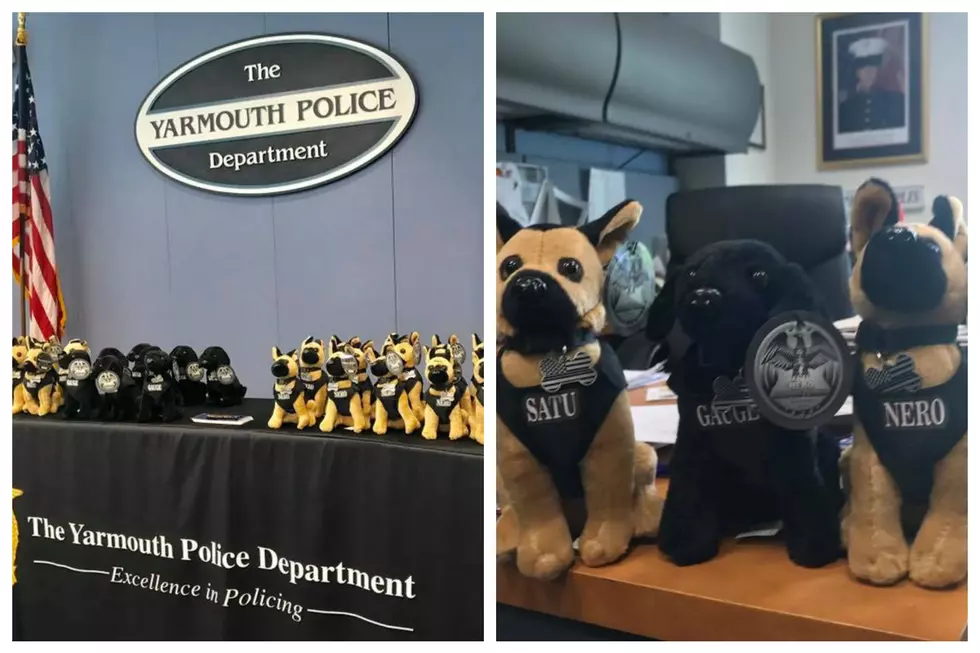 Yarmouth Police Selling Stuffed K9 Dogs