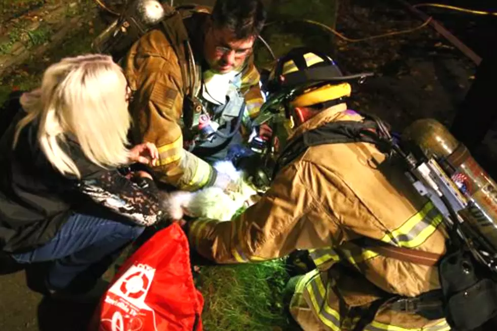 No Injuries Reported, Pet Cat Resuscitated in Fairhaven Fire