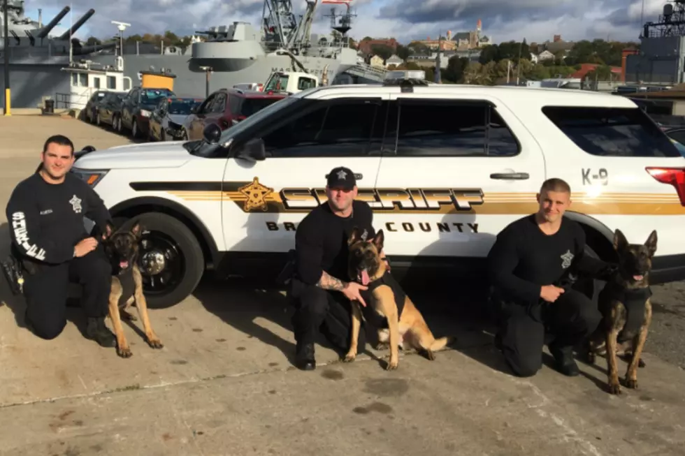 Sheriff’s Department Police Dogs Receive New Protective Vests
