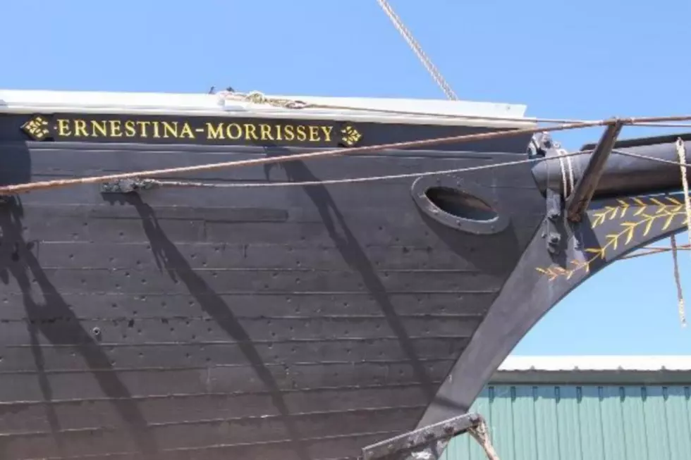 Ernestina Timber Mystery Plot Thickens [OPINION]