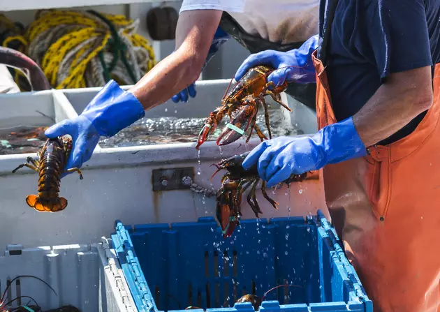 Senators Propose Bill to Expand Lobster Processing