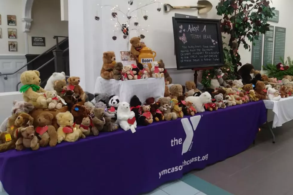 Adopt a Collectible Teddy Bear for Valentine's Day