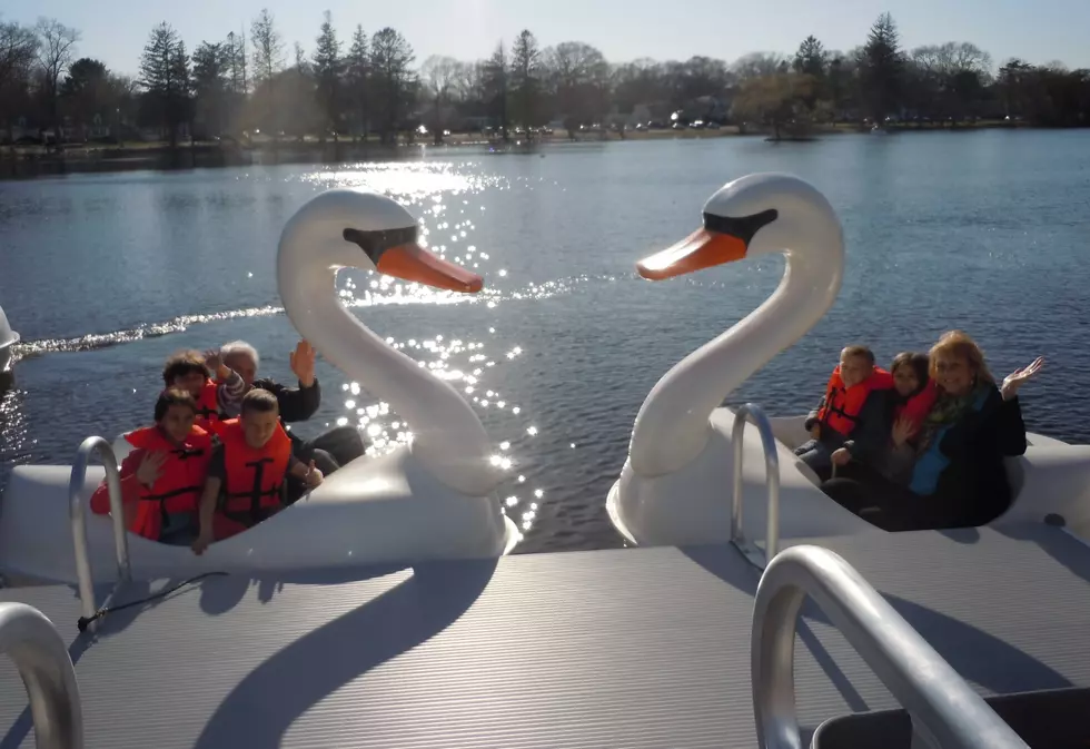 Swan Boats Return to Buttonwood Park in New Bedford
