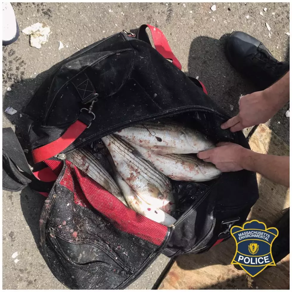 Police Track Down Alleged Fish Poacher