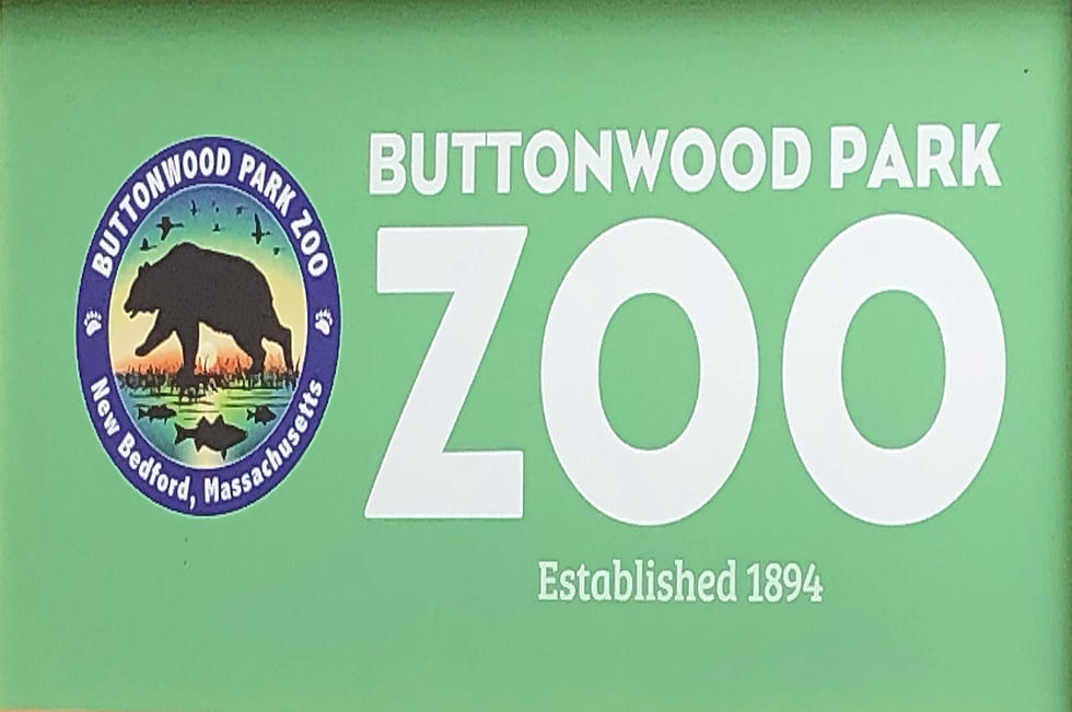 Buttonwood Park Zoo Taking Part in 'Plastic Free July' Challenge
