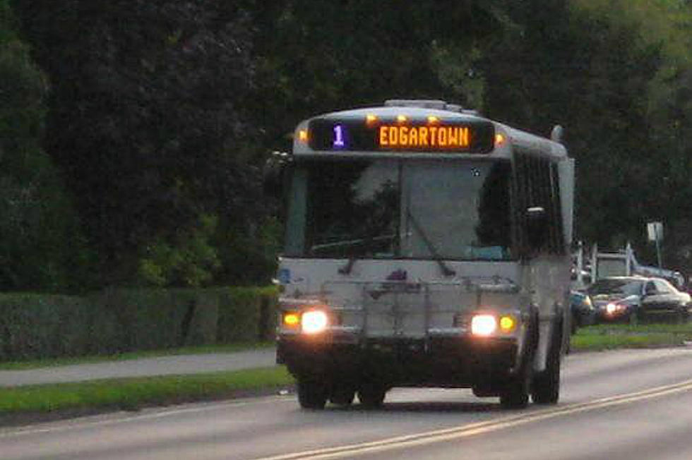 Martha's Vineyard Bus Drivers to Strike at State House Thursday