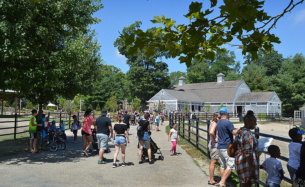 Smooth Sailing into Kindergarten at Buttonwood Park Zoo