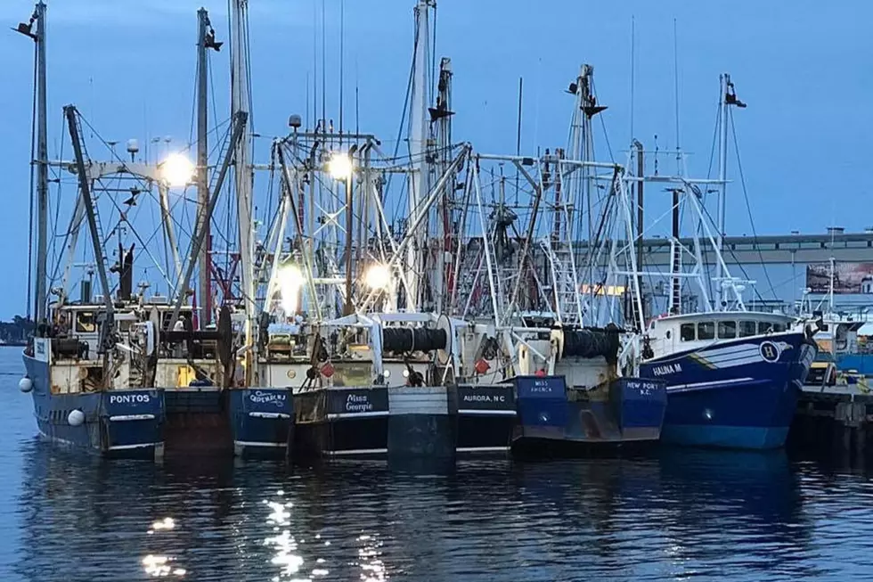 Conservation Group Asks Feds to Halt Atlantic Cod Fishing