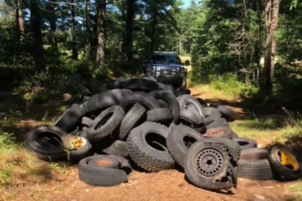 Truck Driver Dumps Over 50 Tires in Woods at Wareham-Carver Line