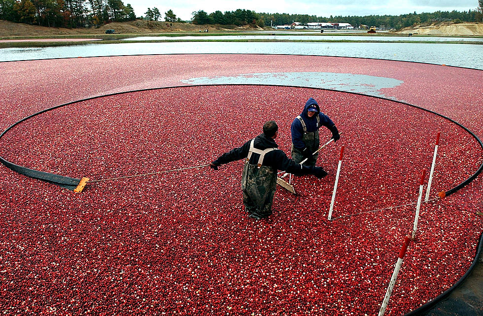 Lawmakers Push To Aid Cranberry Industry