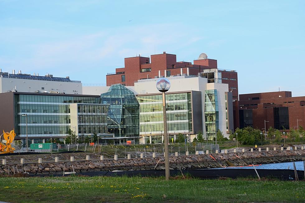 UMass Boston Student Tests Positive for Coronavirus