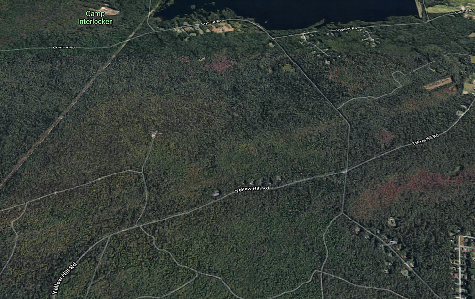Fall River Police Rescue Hikers Lost in Freetown State Forest