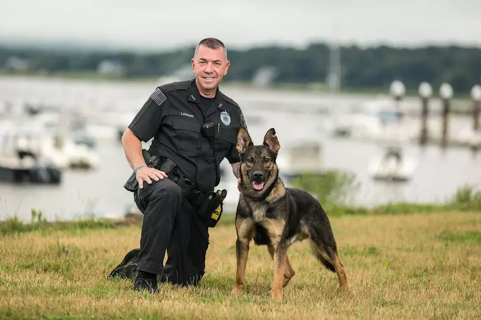 Plymouth Police K-9 Shot Dead By Officer