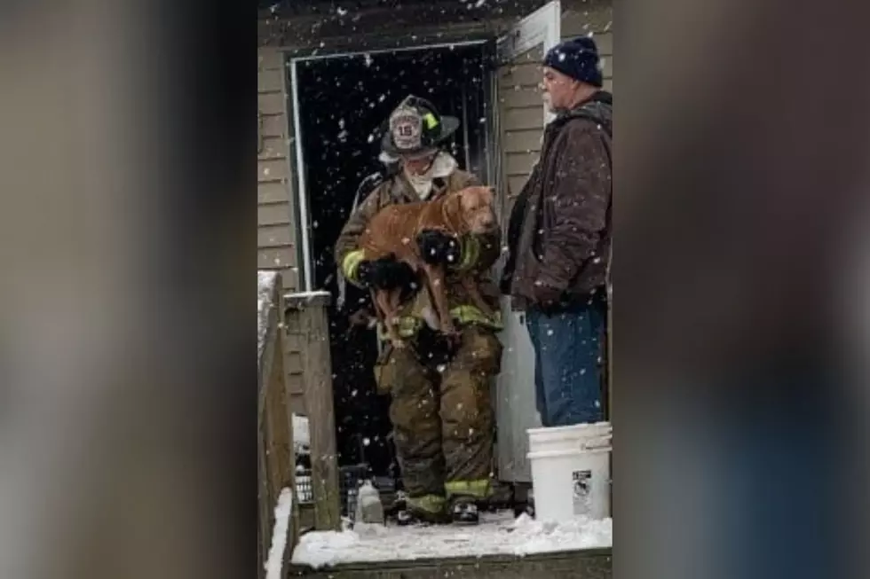 Lakeville Fire Displaces Six; Dog Rescued