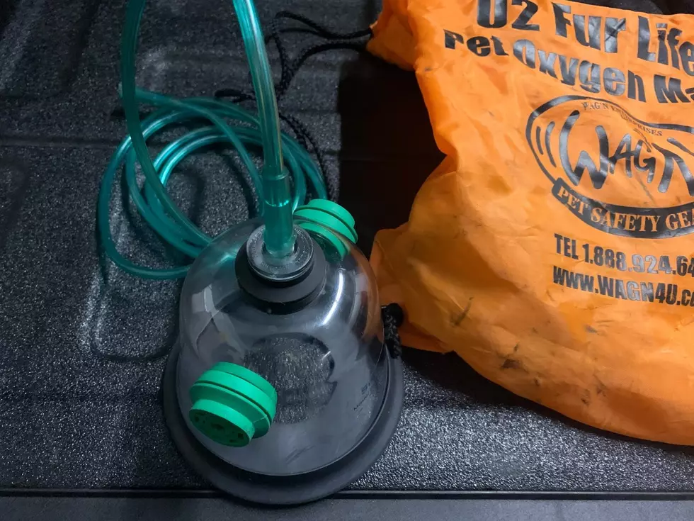 New Bedford Group Funds Animal Oxygen Masks [TOWNSQUARE SUNDAY]