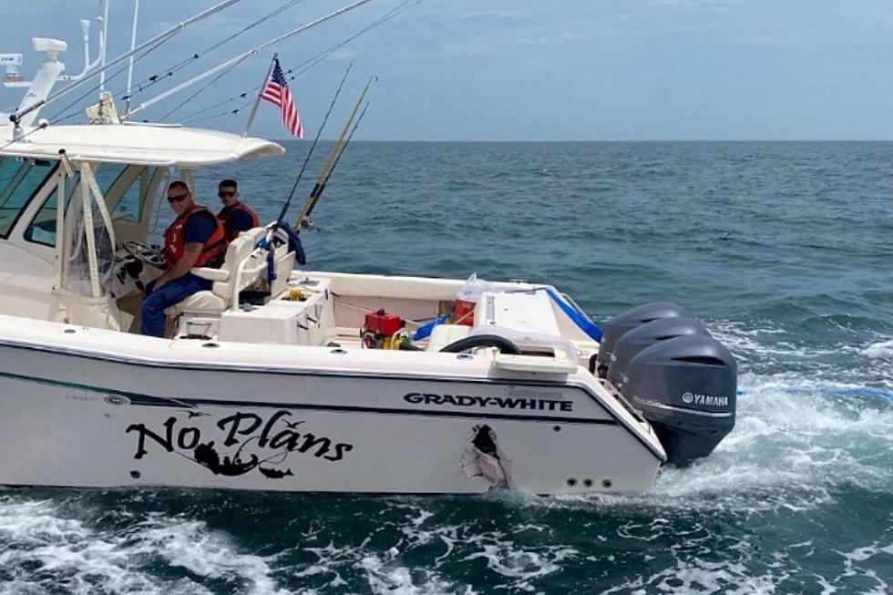 UPDATE: Block Island Boat Reportedly Struck Whale