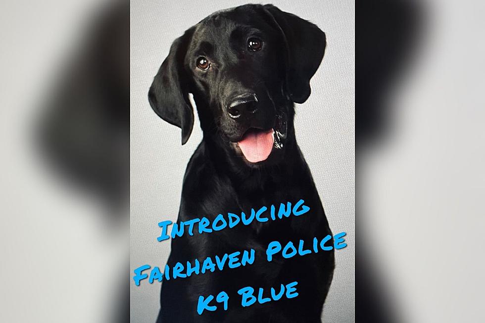 Fairhaven K-9 Puppy Gets a Name