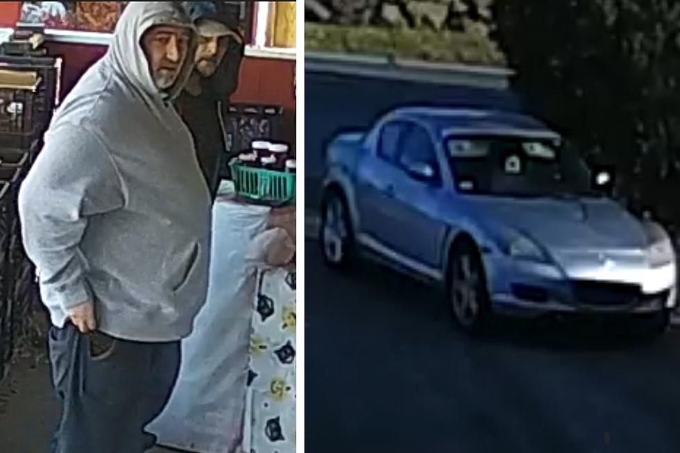 Police Searching for Honey Thieves