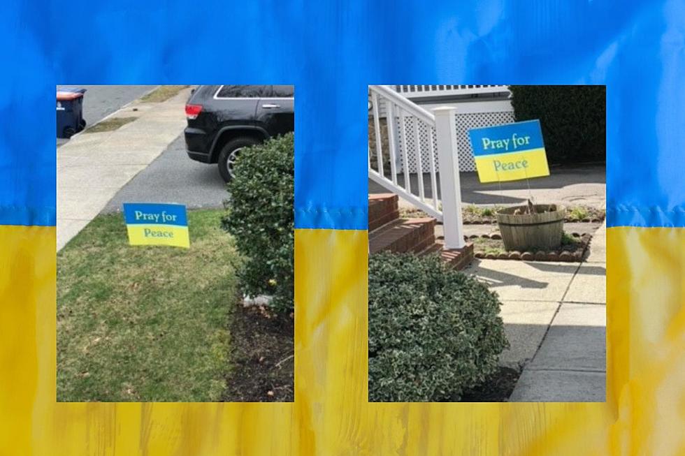 Dartmouth Women Selling Lawn Signs to Support Ukraine