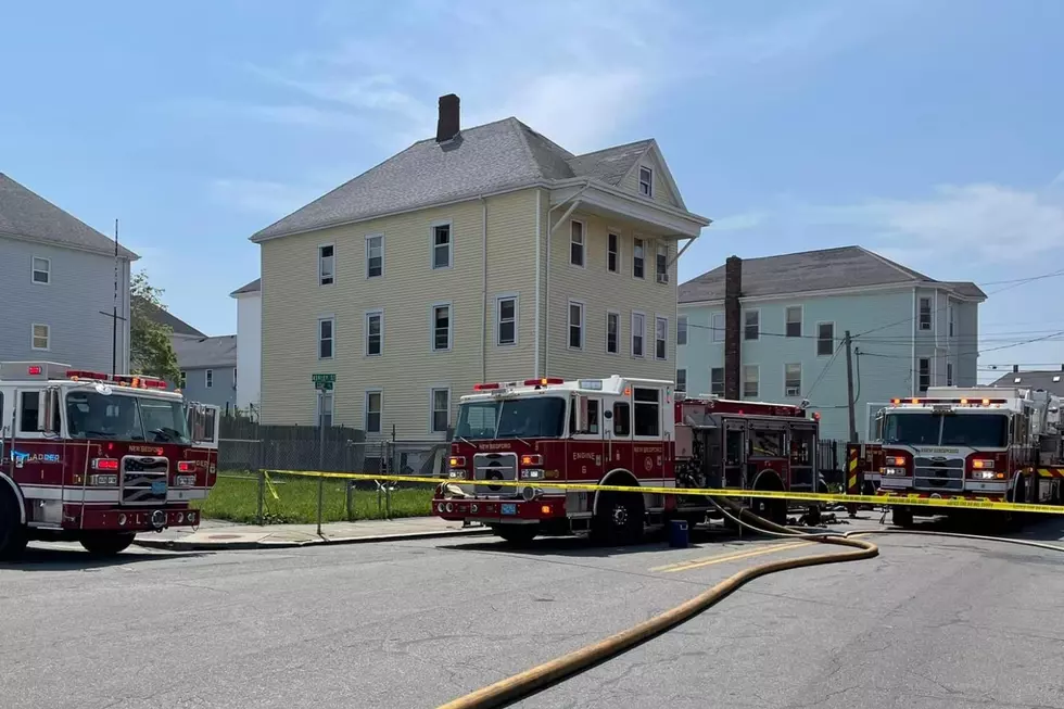 Five Dogs Killed in New Bedford Fire
