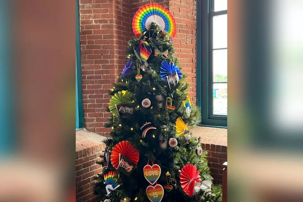 Duke's Bakery's "Big Gay Tree" Celebrates Pride